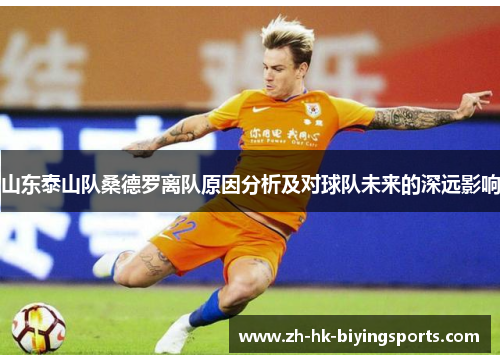 山东泰山队桑德罗离队原因分析及对球队未来的深远影响