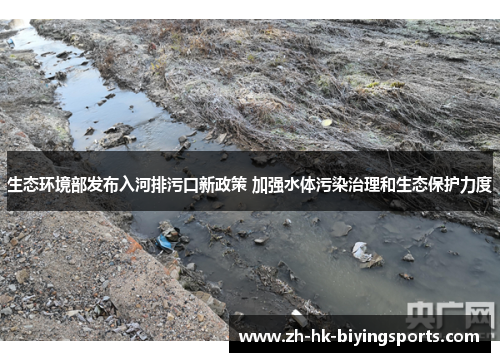 生态环境部发布入河排污口新政策 加强水体污染治理和生态保护力度