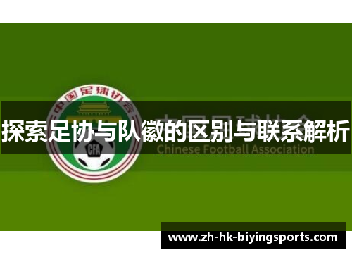 探索足协与队徽的区别与联系解析 探索足协与队徽的区别与联系解析